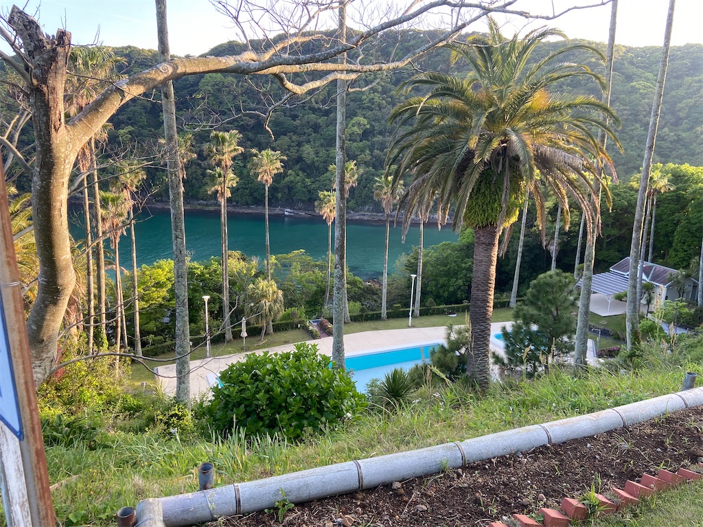 f:id:naokofff:20220601183830j:image f:id:naokofff:20220601183830j:image