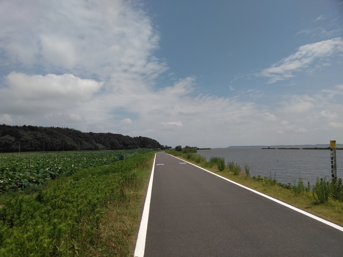 f:id:naokuma23:20190821184820j:plain f:id:naokuma23:20190821184820j:plain