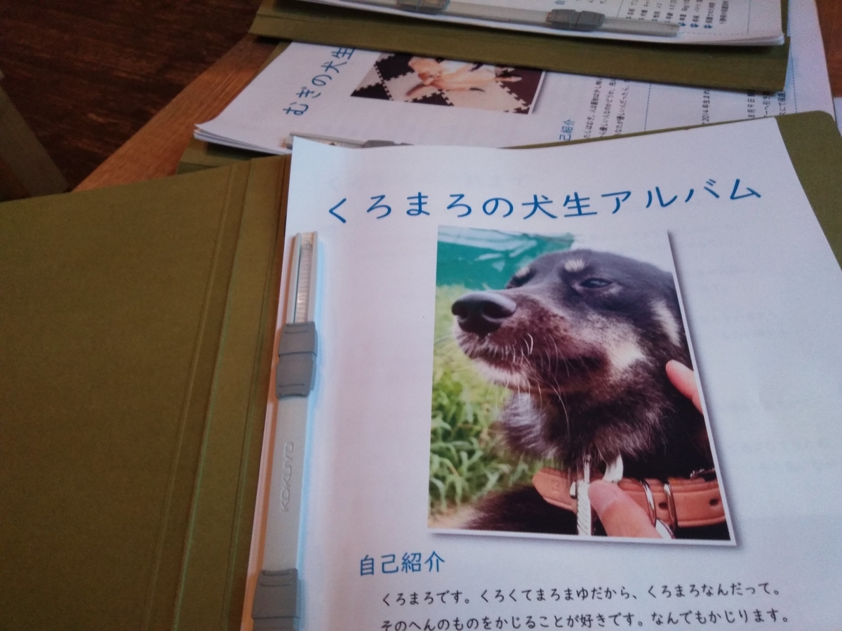 f:id:naokuma23:20190917090806j:plain f:id:naokuma23:20190917090806j:plain