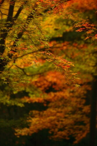 Raigouin0611251 Raigouin0611251