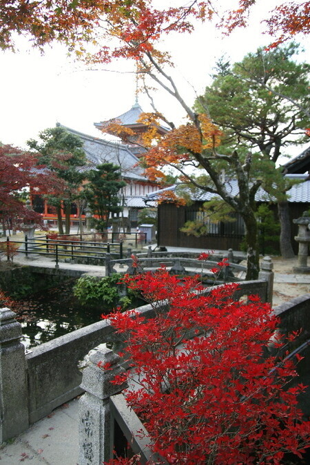 Kiyomizu0712085 Kiyomizu0712085