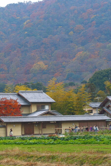 Sagano07121111 Sagano07121111