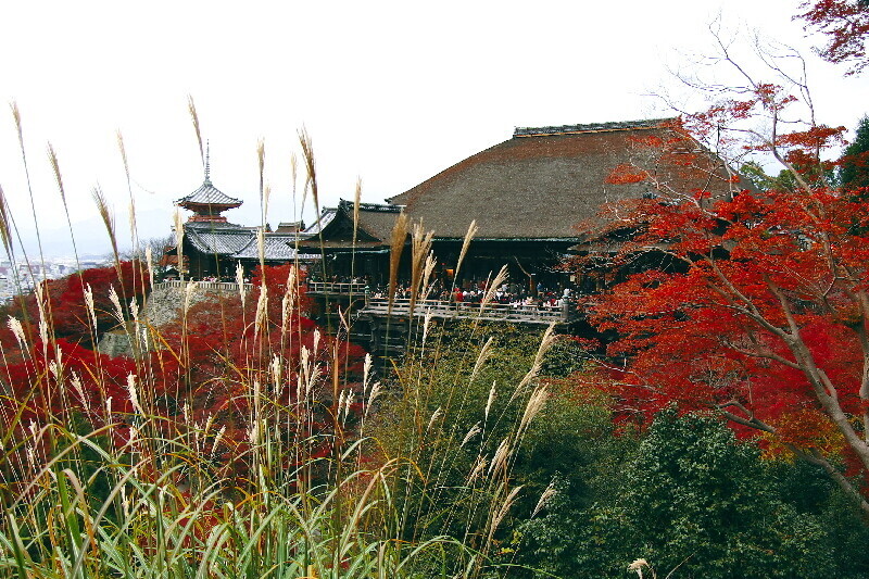 Kiyomizu07120813 Kiyomizu07120813