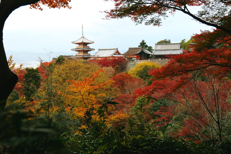 Kiyomizu07120816 Kiyomizu07120816