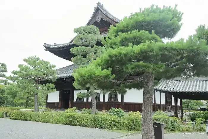 建仁寺の法堂です。本堂も兼ねていて、天井には双龍図が描かれています。