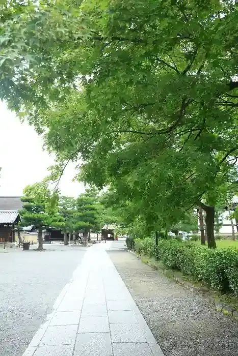 建仁寺の東にある参道です。もみじが美しい道です。