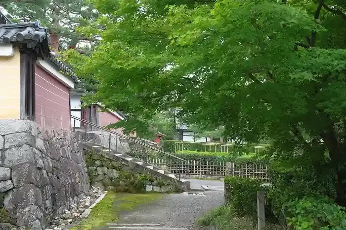 開山堂近くには植え込みがあります。もみじの緑が鮮やかでした。