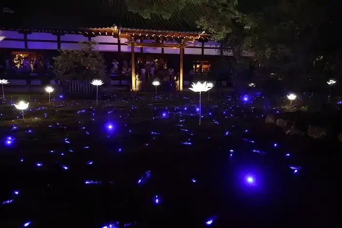 そうだ京都行こうのキャンペーン、青蓮院門跡の夏灯り。宸殿前に白い蓮と青い星が輝いています。