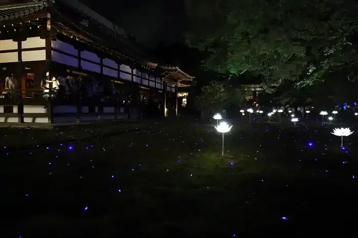 宸殿と宸殿前庭のライトアップです。白い蓮の造花が林立し、苔の上には青い光が点在しています。