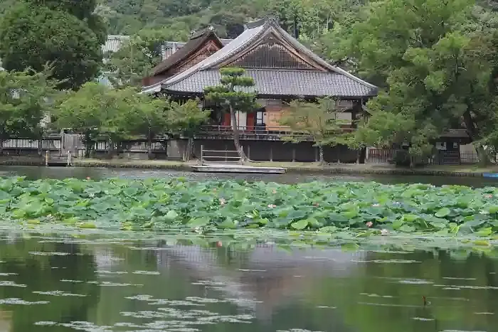 超望遠で捉えた池越しの大覚寺の伽藍。今は西側にありますが、創建当初は北側にありました。