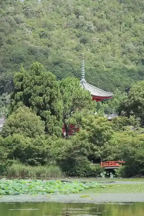 心経宝塔と蓮のコラボです。青葉や桜が繁っており、塔の全景を入れる事が出来ず、半分木に隠れてしまいました。