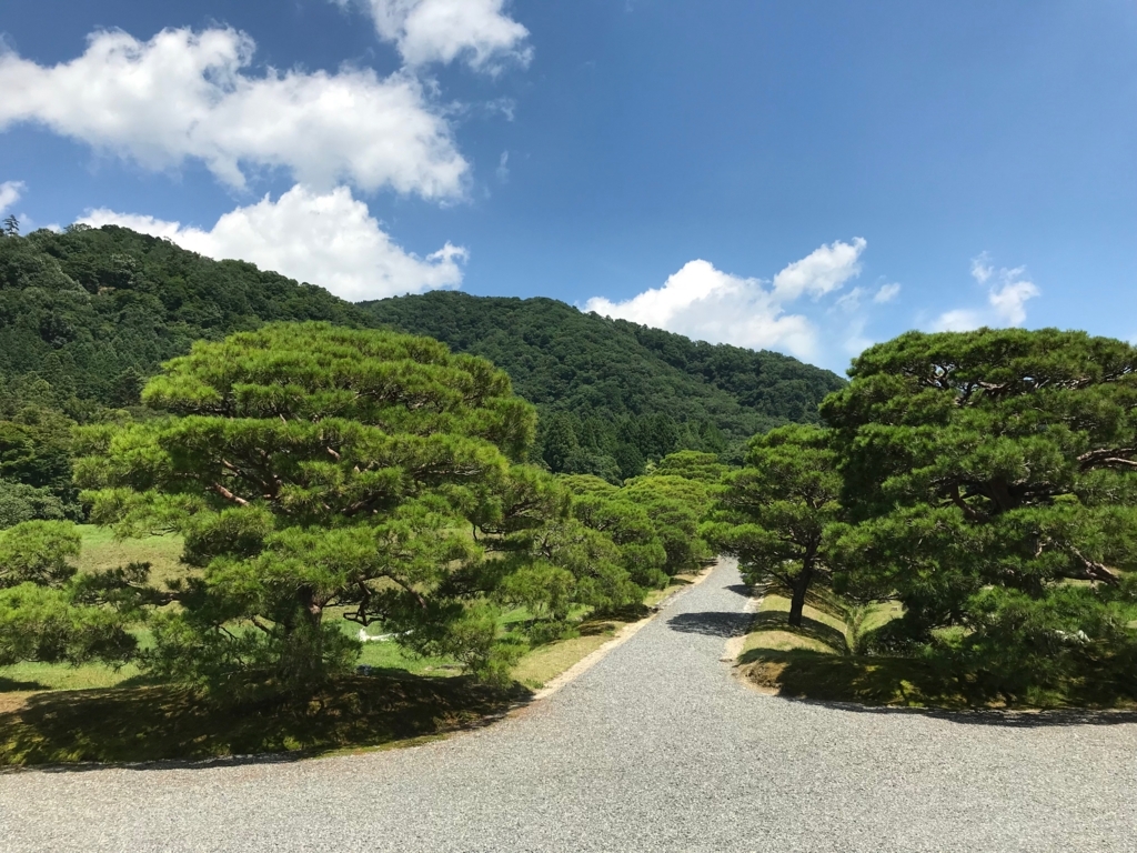 f:id:naokuyand:20180702163810j:plain f:id:naokuyand:20180702163810j:plain