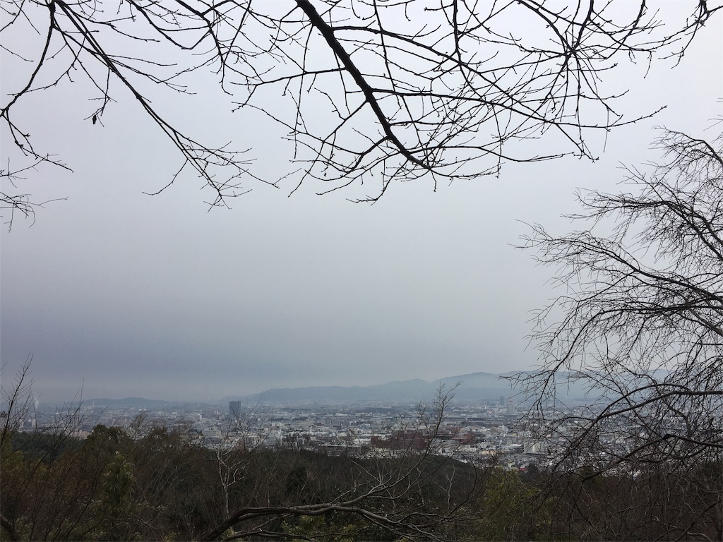 f:id:naolaesperanza:20180128201000j:image