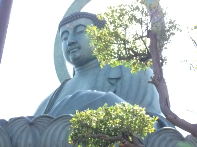 イメージ 4