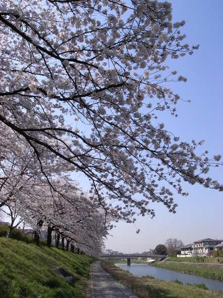f:id:naom:20080404092338j:image