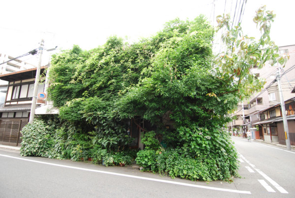 f:id:naom:20080530161341j:image