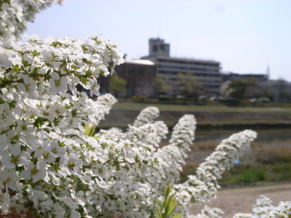 f:id:naom:20130331095605j:image:w360:left