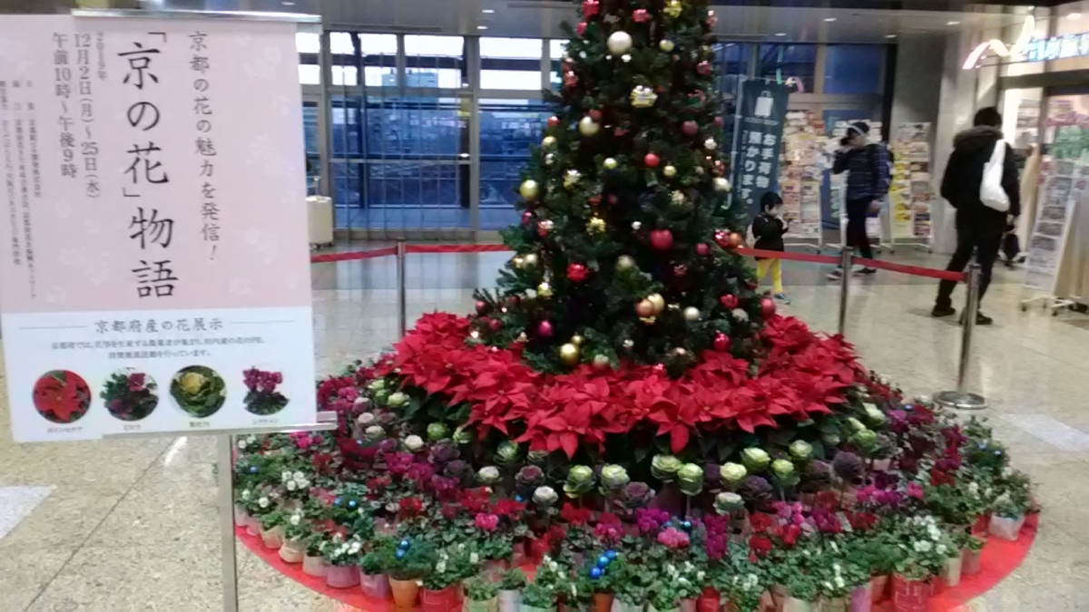 f:id:naomail:20191214113622j:plain