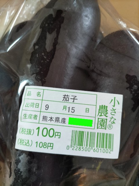f:id:naomi-b:20250915073002j:image