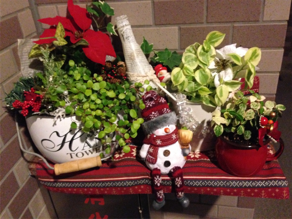 f:id:naomi1010:20181112182934j:image