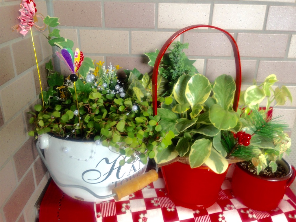 f:id:naomi1010:20181229112254j:image f:id:naomi1010:20181229112254j:image