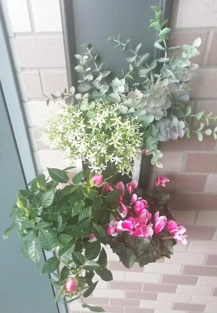 f:id:naomi1010:20190310103347j:image