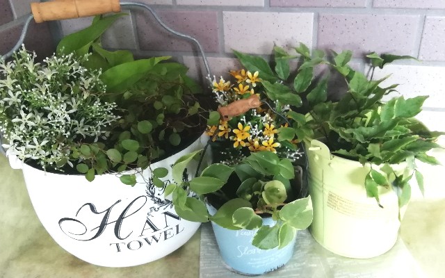 f:id:naomi1010:20190815104227j:image