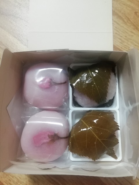 f:id:naomi1010:20200304093325j:image