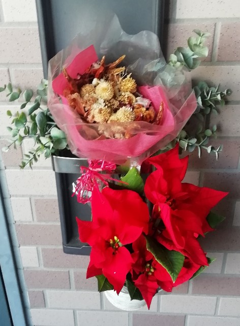 f:id:naomi1010:20201128102413j:image f:id:naomi1010:20201128102413j:image