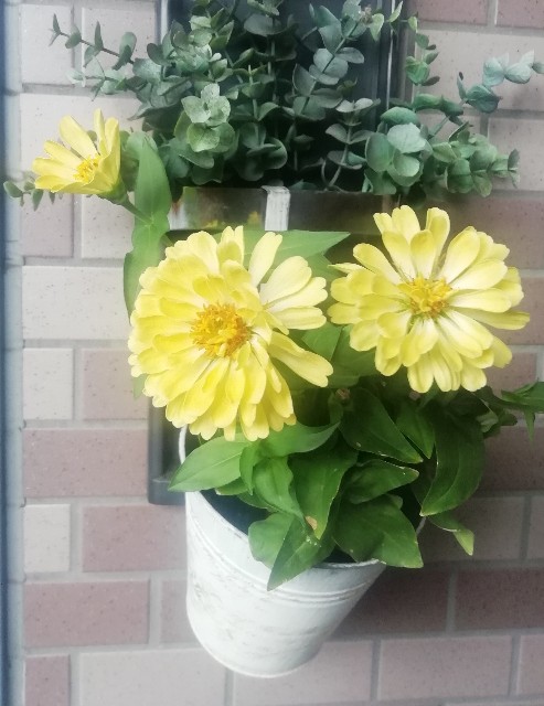 f:id:naomi1010:20210821074734j:image f:id:naomi1010:20210821074734j:image