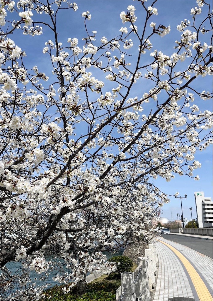 f:id:naomi1010:20230325131755j:image