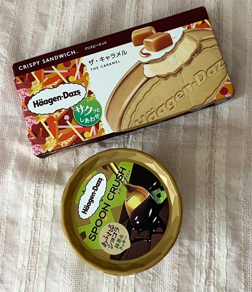 f:id:naomi1010:20230611124055j:image