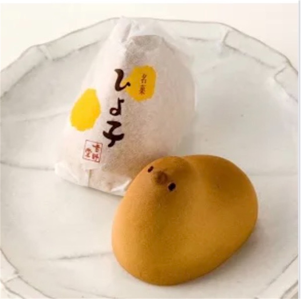 f:id:naomi1010:20230828123935j:image f:id:naomi1010:20230828123935j:image