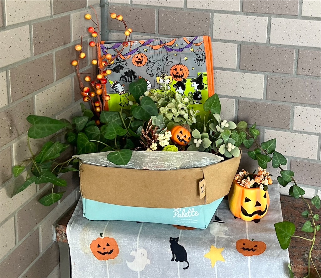 f:id:naomi1010:20231008070302j:image