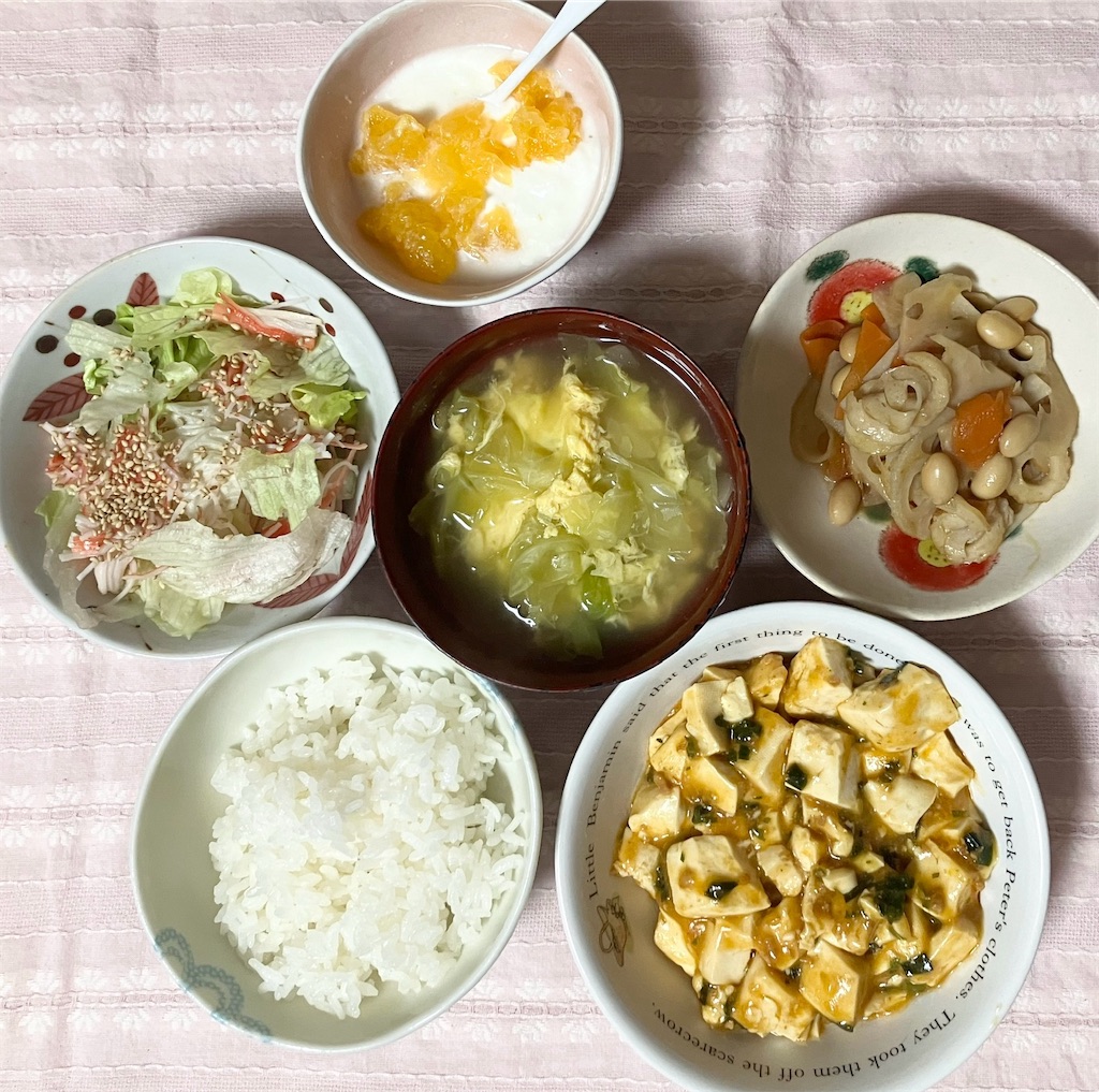 f:id:naomi1010:20240206080405j:image