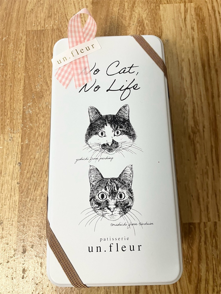 f:id:naomi1010:20240616124451j:image