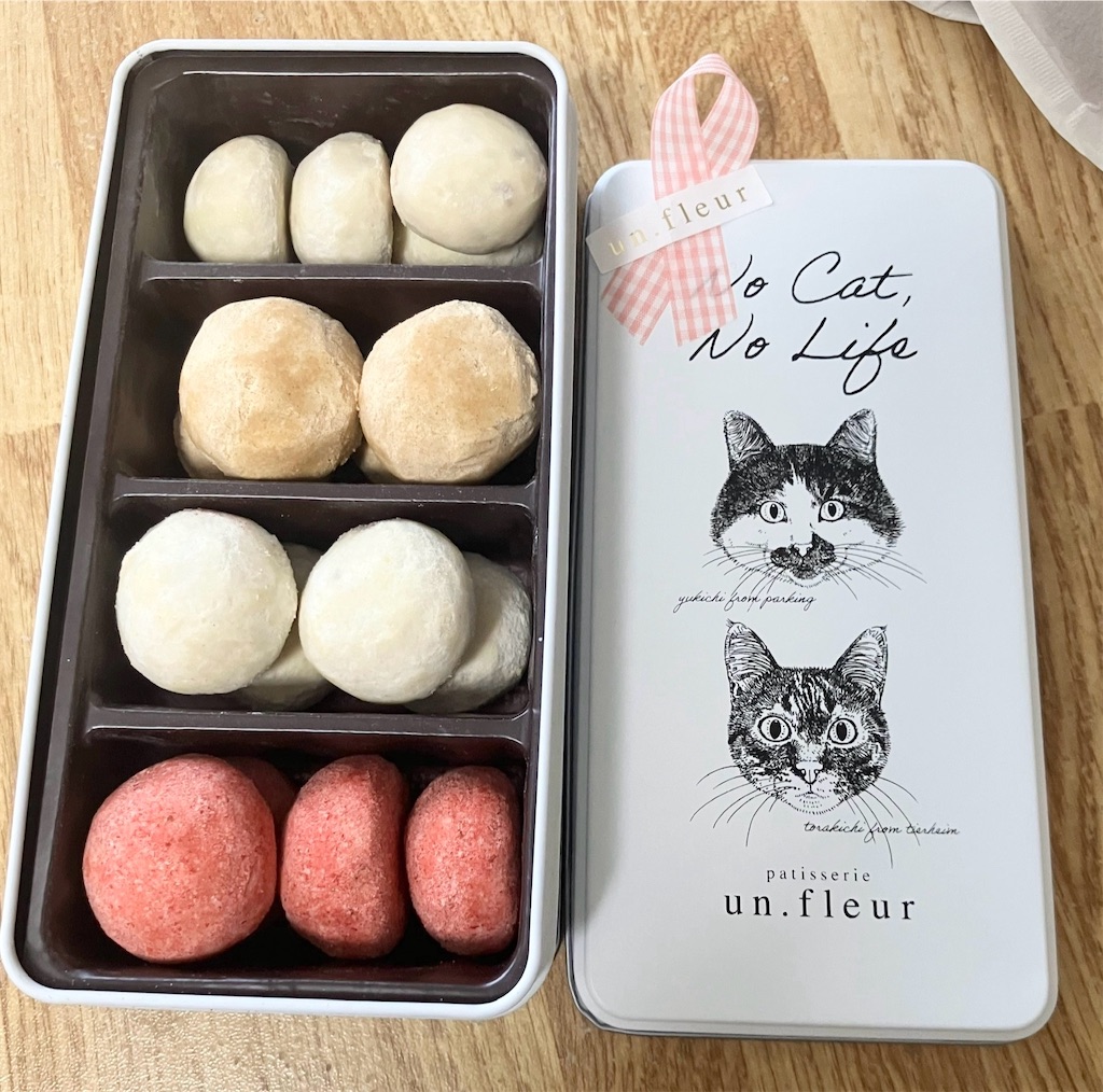 f:id:naomi1010:20240616124514j:image