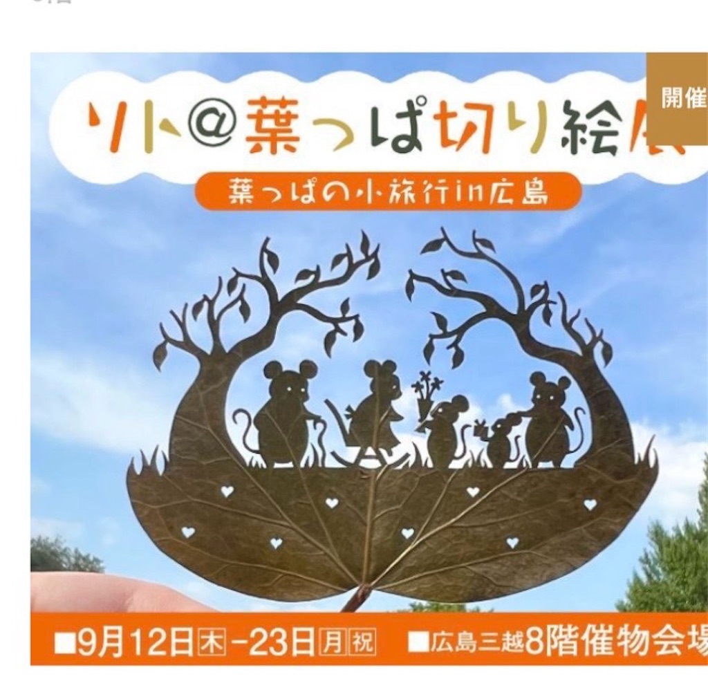 f:id:naomi1010:20240917075537j:image