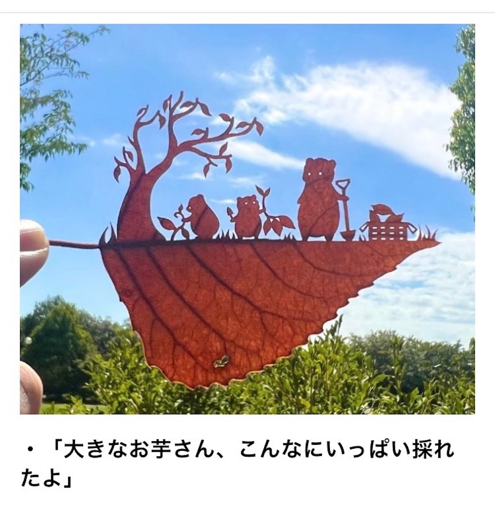 f:id:naomi1010:20240917075556j:image