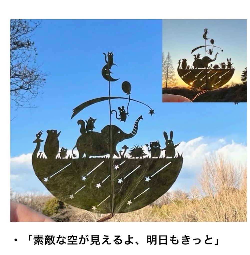 f:id:naomi1010:20240917075612j:image