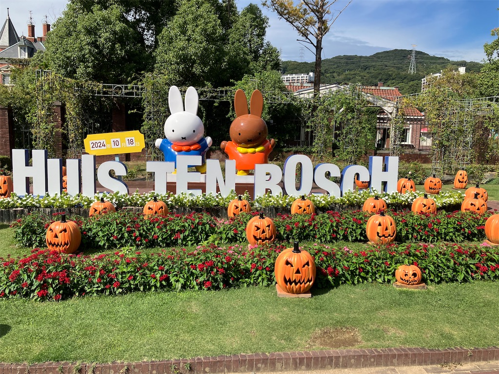 f:id:naomi1010:20241019044226j:image