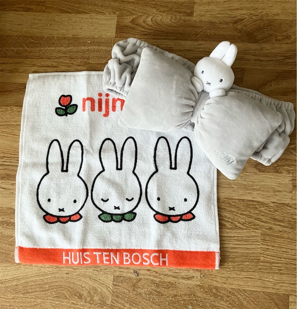 f:id:naomi1010:20241020120053j:image