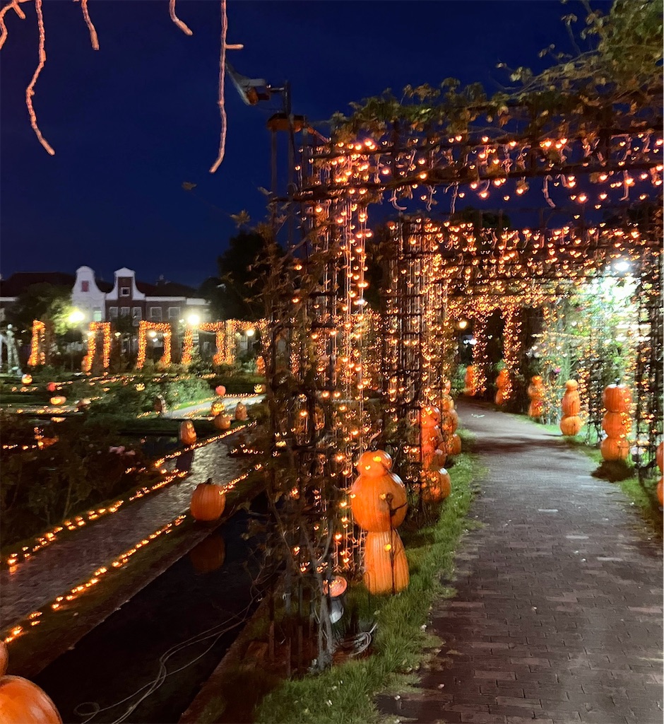 f:id:naomi1010:20241020120344j:image