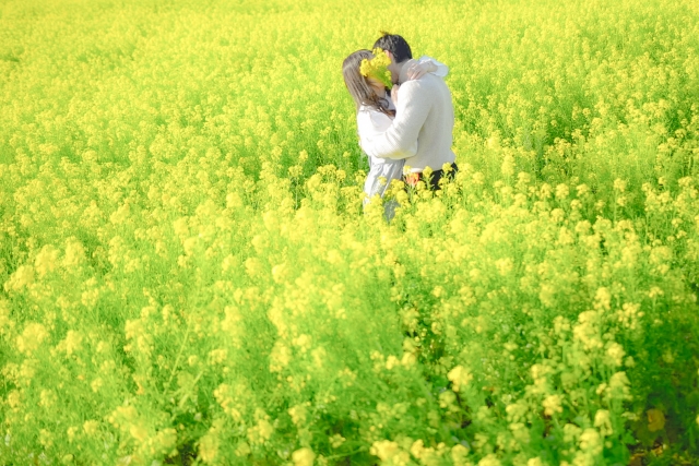 f:id:naomi_japan:20210514020918j:plain