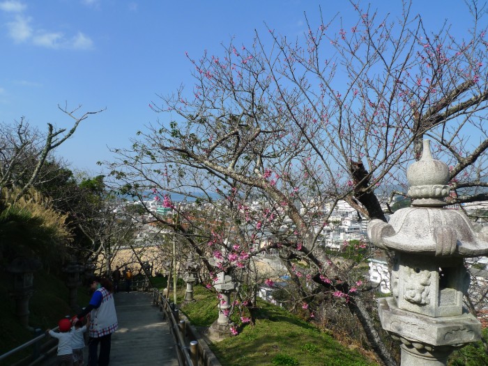 f:id:naomichee:20190211133832j:plain f:id:naomichee:20190211133832j:plain