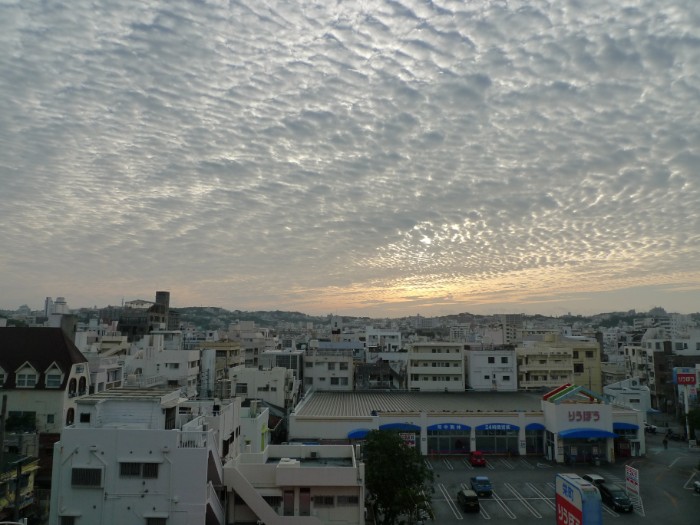f:id:naomichee:20190211144521j:plain f:id:naomichee:20190211144521j:plain