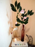 f:id:naomusic:20120105232608j:image