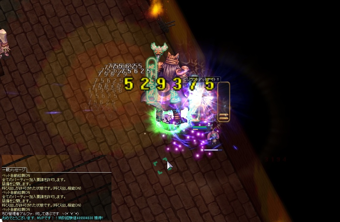 ペット変身スクロールが実装したり～ - BAPFIRE!!