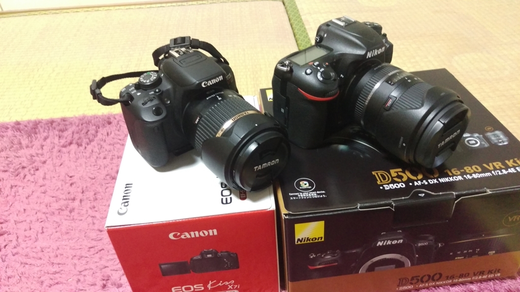 ド素人がNikon D500に買い替えて気付いたこと。3週間経過