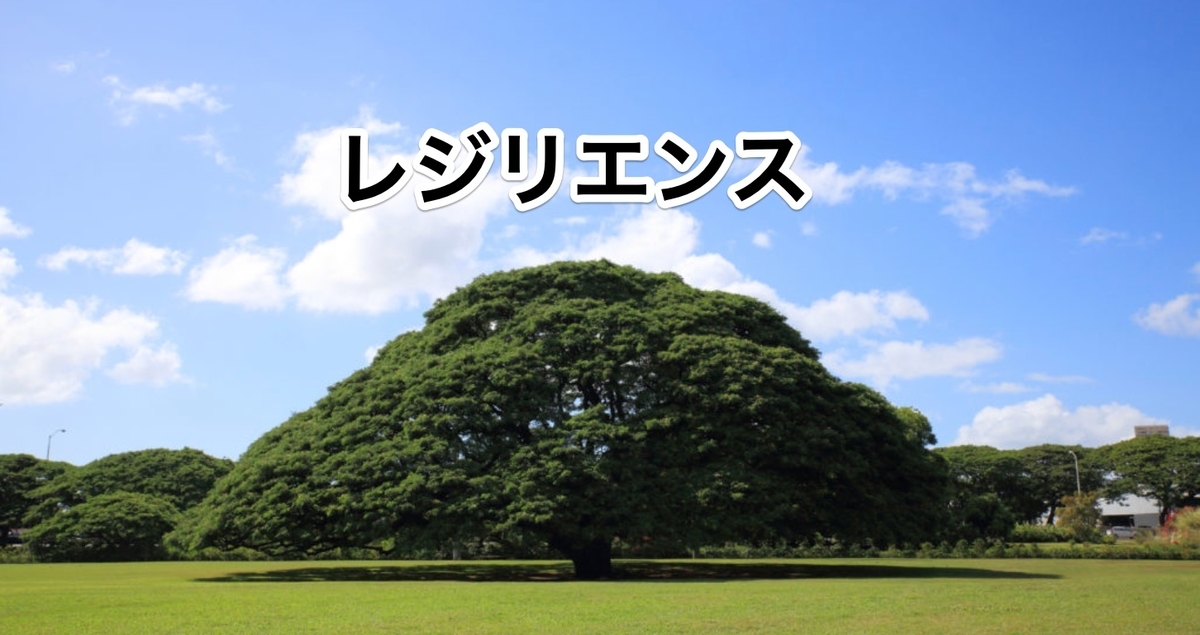 f:id:naophone008:20211202110902j:plain